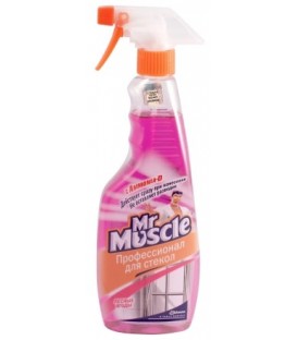 Средство для мытья стекол Mr. Muscle 500 м, с распылителем «Лесные ягоды»