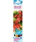 Карандаши цветные акварельные Fancy 6 цветов