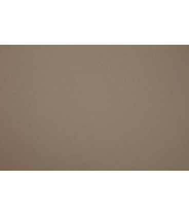 Картон цветной двусторонний А2 Fotokarton Folia 500*700 мм, капучино