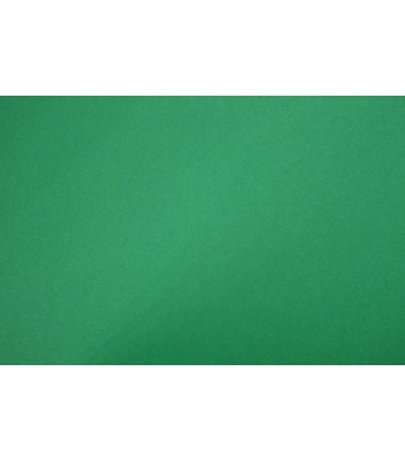 Картон цветной двусторонний А2 Fotokarton Folia 500*700 мм, зеленая ель