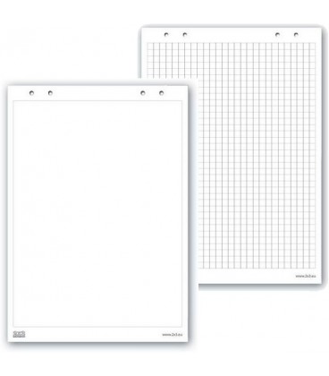 Бумага (блок) для флип-чарта 99х66см 20 листов (Евро)
