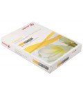 Бумага офисная Colotech+ Uncoated (без покрытия) А4 (210*297 мм), 300 г/м2, 125 л.