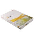 Бумага офисная Colotech+ Uncoated (без покрытия) А3 (297*420 мм), 200 г/м2, 250 л.