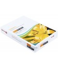 Бумага офисная Colotech+ Uncoated (без покрытия) А4 (210*297 мм), 160 г/м2, 250 л.