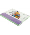 Бумага офисная цветная Palette Pastel А4 (210*297 мм), 80 г/м2, пастель, 250 л., зеленая
