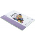 Бумага офисная цветная Palette Pastel А4 (210*297 мм), 80 г/м2, пастель, 50 л., зеленая