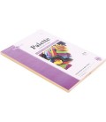 Бумага офисная цветная Palette Pastel А4 (210*297 мм), 80 г/м2, пастель, 100 л., оранжевая