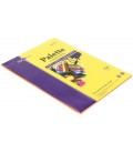Бумага офисная цветная Palette Neon А4 (210*297 мм), 80 г/м2, 50 л, оранжевая неон
