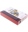 Бумага офисная цветная Palette Intensive А4 (210*297 мм), 80 г/м2, интенсив, 500 л., красная (розовая)