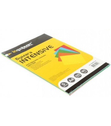 Бумага офисная цветная Intensive inФормат А4 (210*297 мм), 80 г/м2, 100 л., (5 цветов*20 л.)