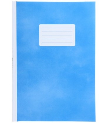 Книга учета Economix 200*285 мм, 96 л., клетка