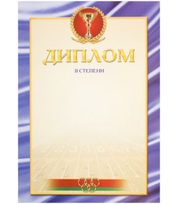 Диплом «Диплом спортивный, 2-й степени»