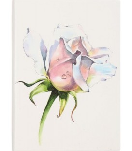 Ежедневник недатированный «Феникс+» 120*170 мм, 160 л., «Роза»