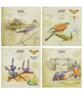 Блокнот Jotter The Beauty That Wonder 135*135 мм, 80 л., клетка, ассорти