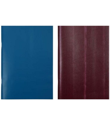 Тетрадь общая А4, 80 л. на скобе «Красная звезда» 200*285 мм, клетка, ассорти