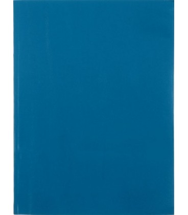 Тетрадь общая А4, 96 л. на склейке «Полиграфкомбинат» 205*276 мм, линия, светло-синяя