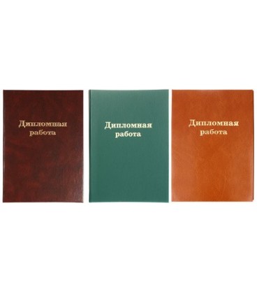 Папка для дипломных работ 240*305 мм, без бумажного блока, ассорти