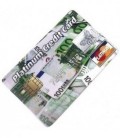 Флэш-накопитель сувенирный Platinum Credit Card 4Gb, «Евро»