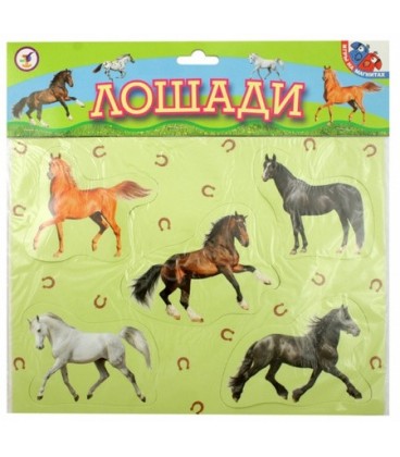Игра настольная «Магнит» 11 карточек, «Лошади»