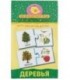 Игра настольная «Мини-игры» «Деревья», 4-7 лет