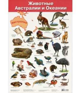 Плакат развивающий «Дрофа Медиа» «Животные Австралии и Океании»