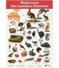 Плакат развивающий «Дрофа Медиа» «Животные Австралии и Океании»