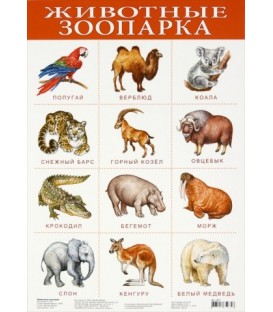 Плакат развивающий «Дрофа Медиа» «Животные зоопарка»