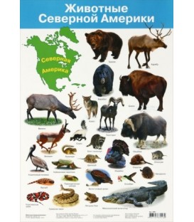 Плакат развивающий «Дрофа Медиа» «Животные Северной Америки»