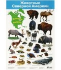 Плакат развивающий «Дрофа Медиа» «Животные Северной Америки»