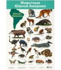 Плакат развивающий «Дрофа Медиа» «Животные Южной Америки»