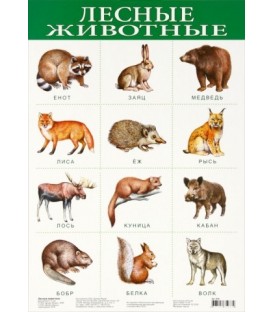 Плакат развивающий «Дрофа Медиа» «Лесные животные»