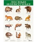 Плакат развивающий «Дрофа Медиа» «Лесные животные»
