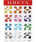 Плакат развивающий «Дрофа Медиа» «Цвета»
