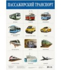 Плакат развивающий «Дрофа Медиа» «Пассажирский транспорт»