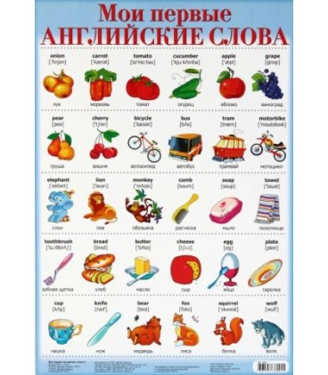 Плакат развивающий «Дрофа Медиа» «Мои первые английские слова-2»