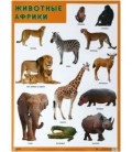 Плакат «Животные Африки» 500*690 мм