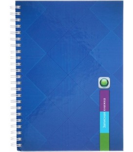Книжка записная «Проф-пресс» 145*200 мм, 120 л., клетка, «Синие узоры»