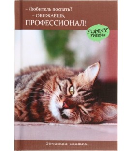 Книжка записная «Проф-пресс» 105*150 мм, 48 л., клетка, «Кот-профессионал»