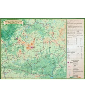 Карта настенная «Карта РБ физическая» 420*300 мм